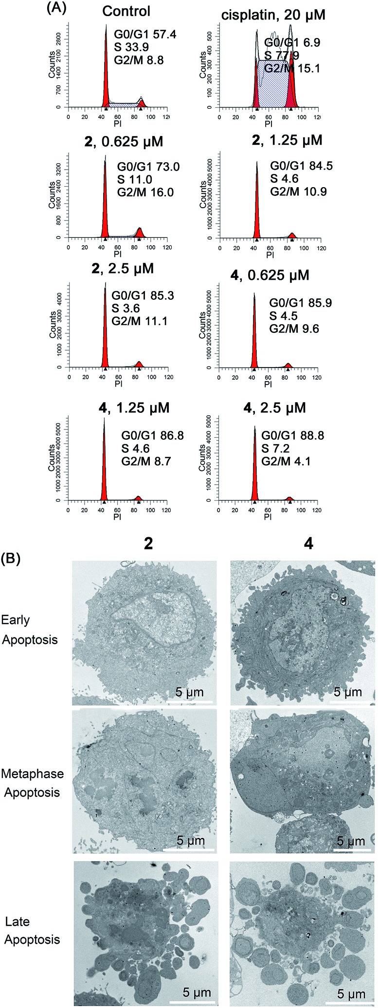 Fig. 8