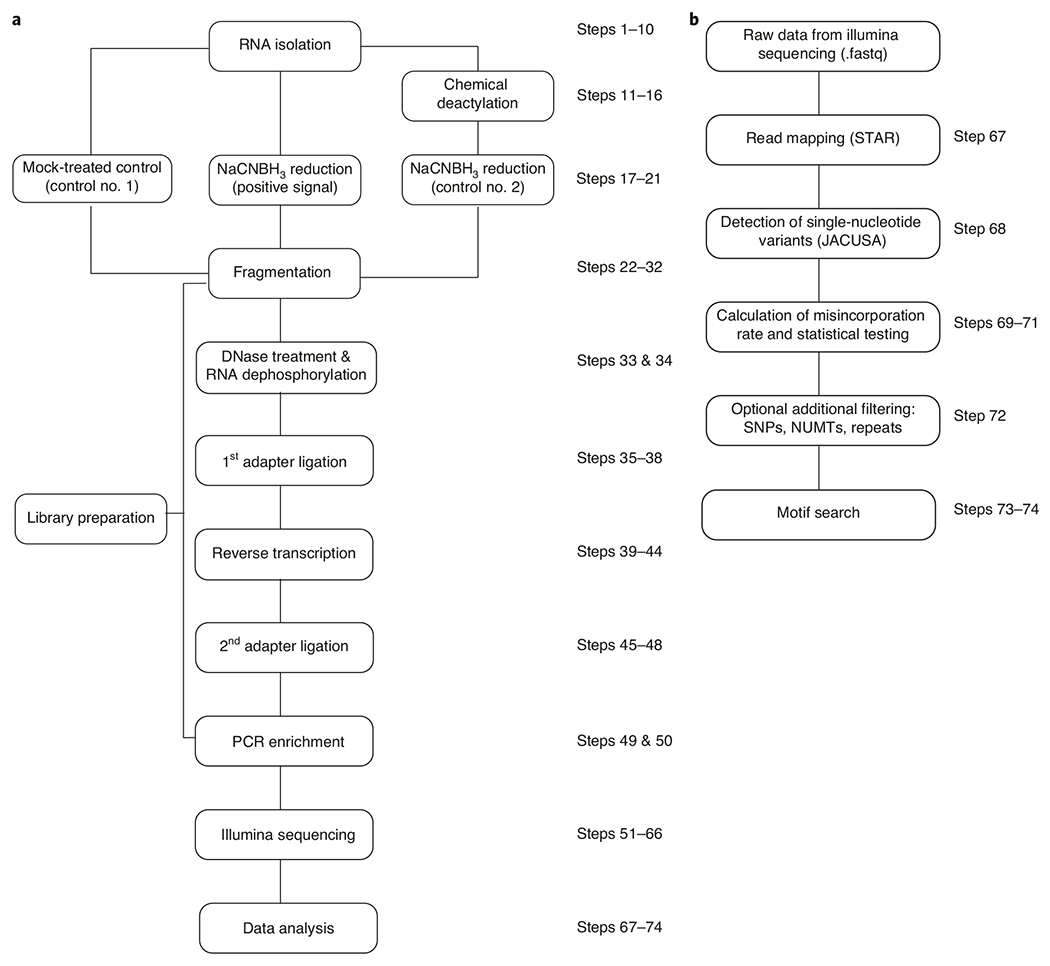 Fig. 3 |