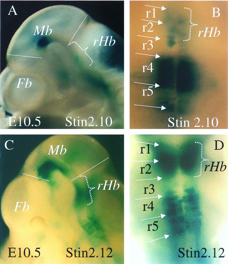 Figure 2