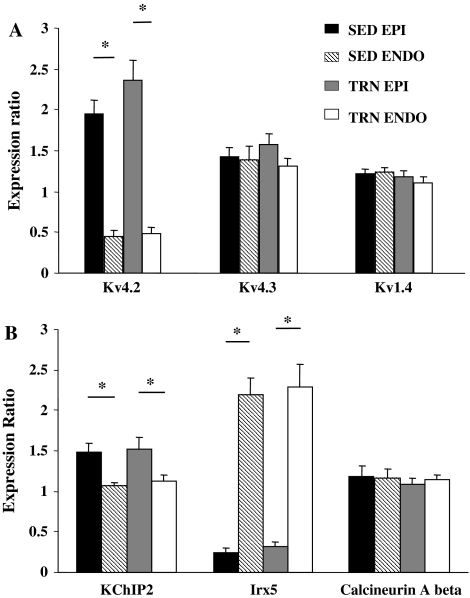 Fig. 7