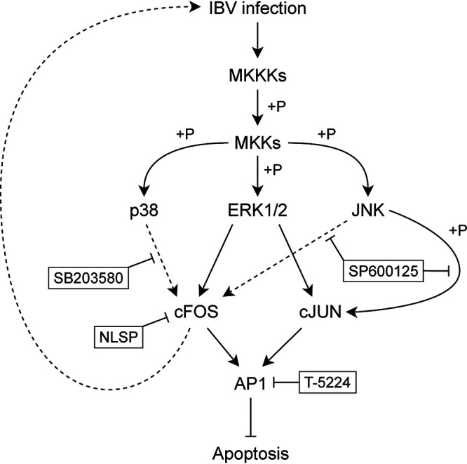 FIG 7