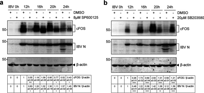 FIG 6