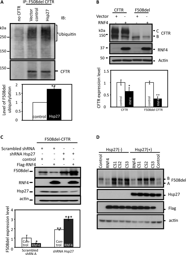 FIGURE 5: