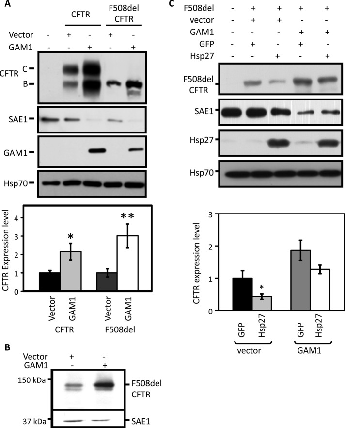 FIGURE 3: