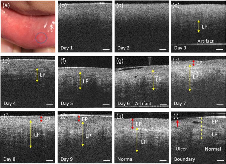 Fig. 6