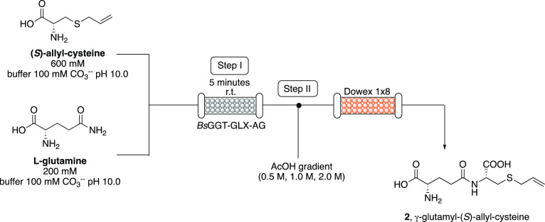 Scheme 2