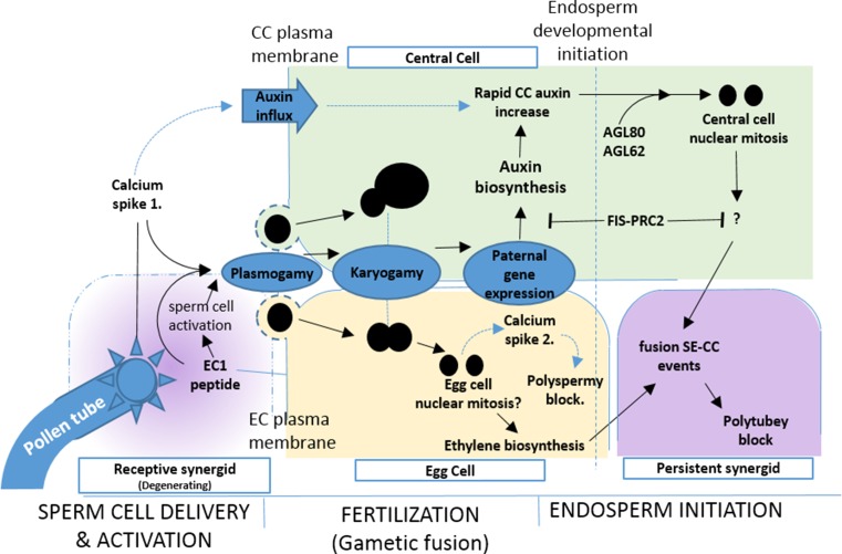 Fig. 2