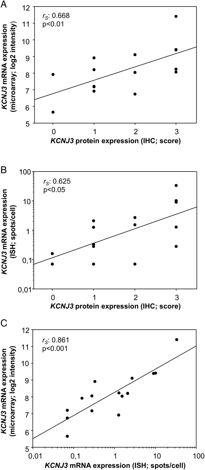 Figure 3