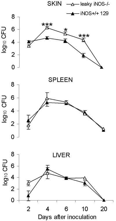 FIG. 5.