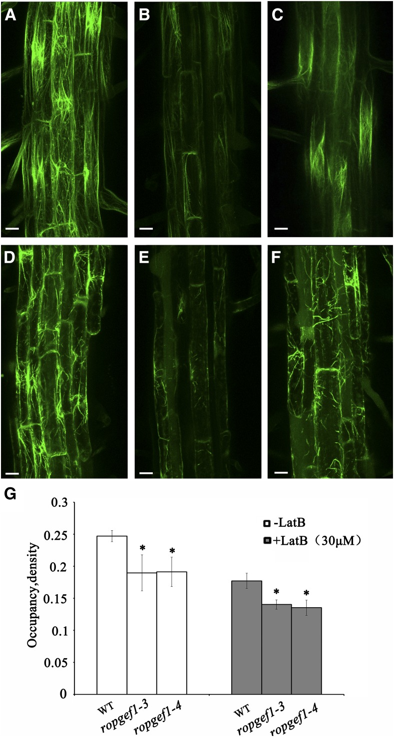 Figure 7.