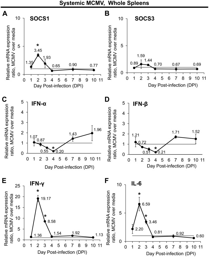 FIG 1