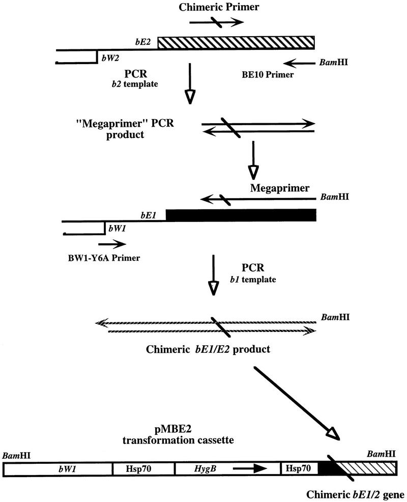 FIG. 1