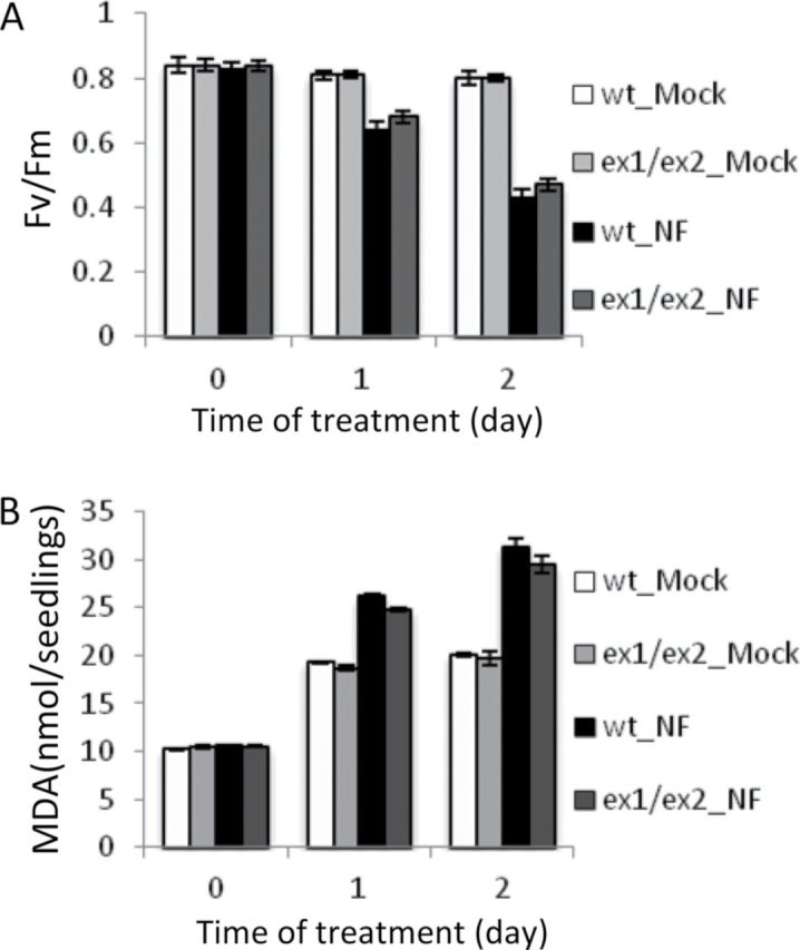 Figure 5.