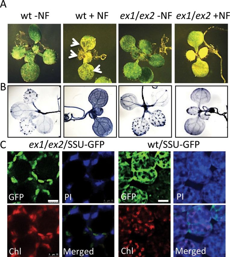 Figure 4.