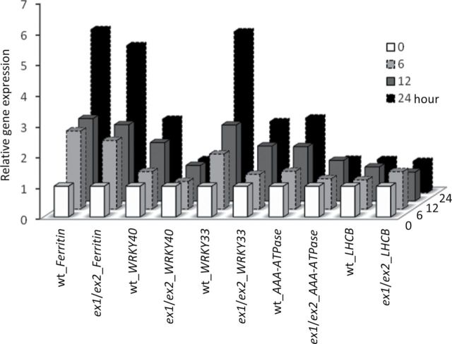 Figure 6.