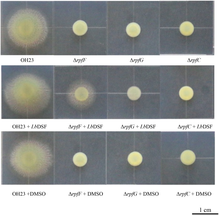 FIGURE 4