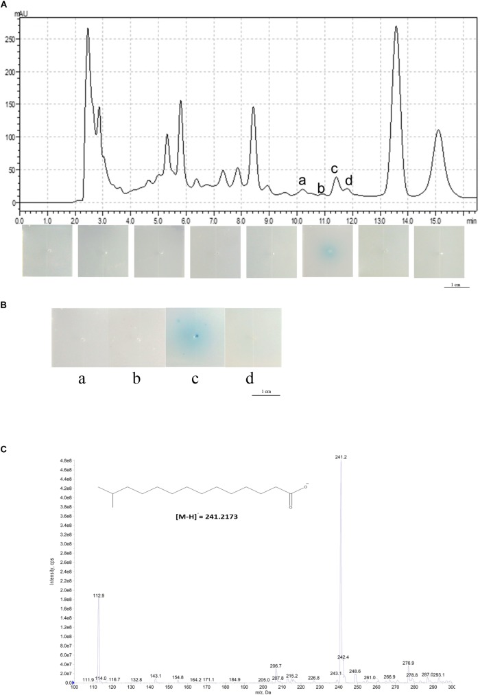 FIGURE 1