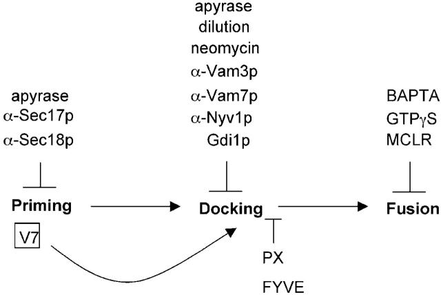 Figure 7.