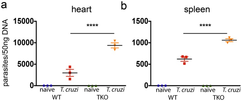 Fig 5