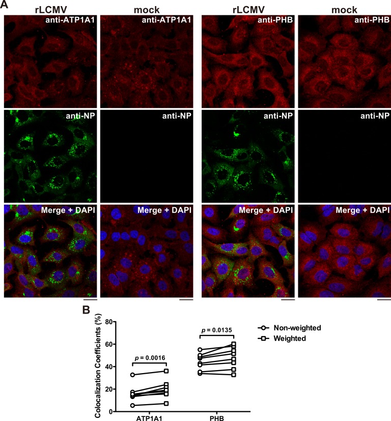 Fig 4