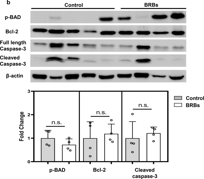 Figure 4: