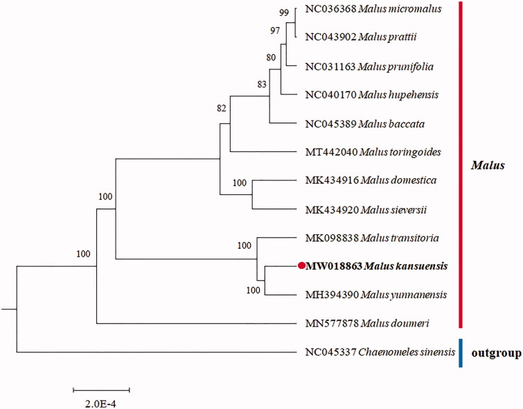 Figure 1.