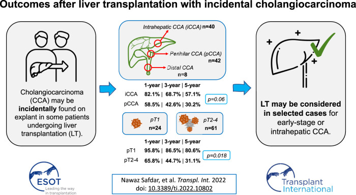 graphic file with name TI_ti-2022-10802_wc_abs.jpg