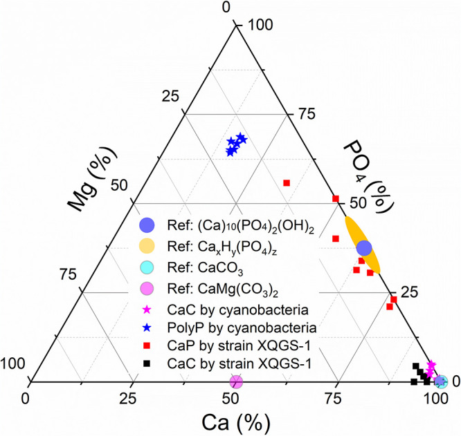 FIG 6