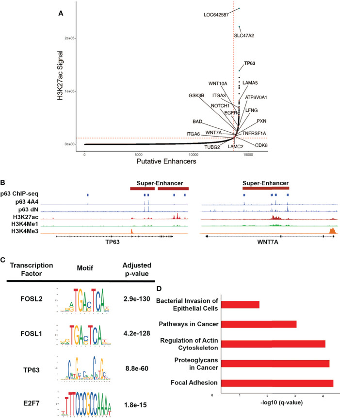 Figure 3