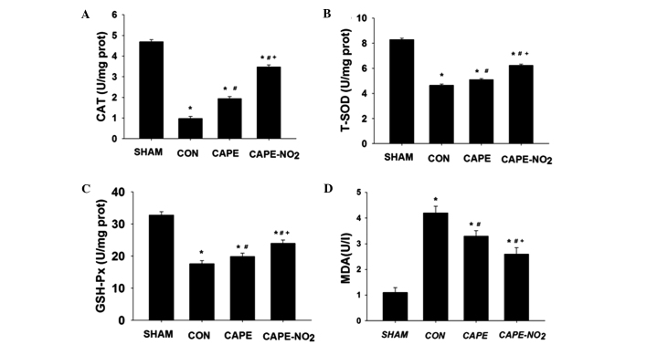 Figure 5.