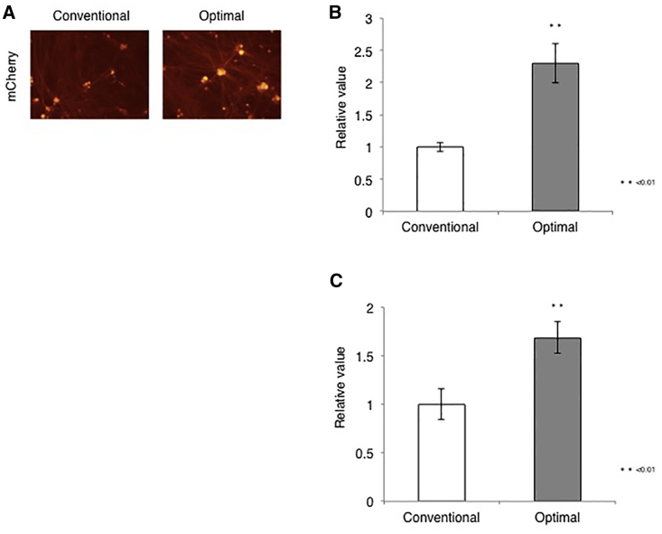 Figure 7