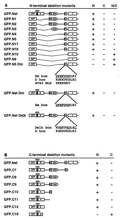 FIG. 6