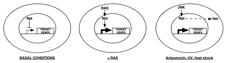 FIG. 8