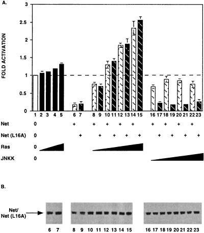 FIG. 7