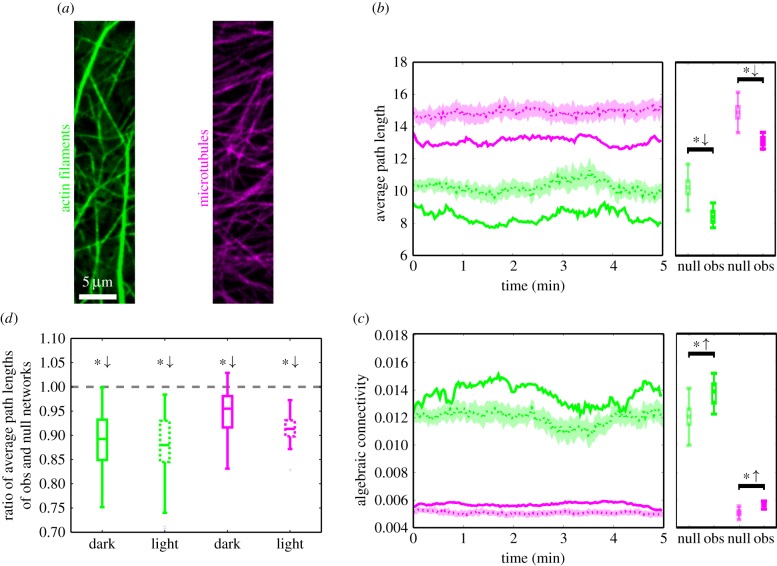 Figure 3.