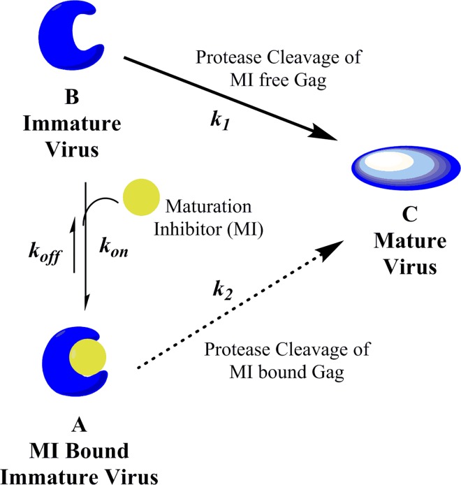 Fig 5