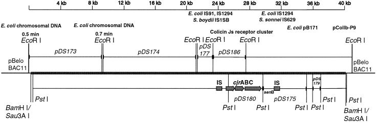 FIG. 1