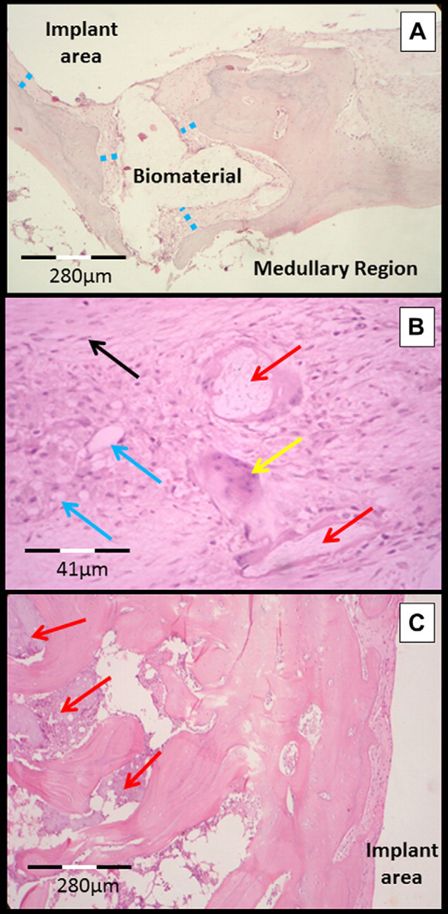 Fig 4.