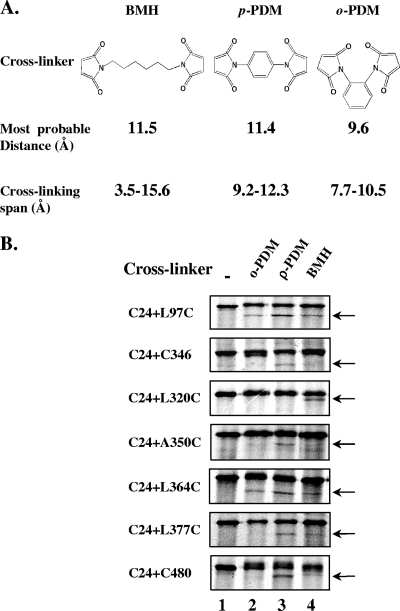 FIG. 2.