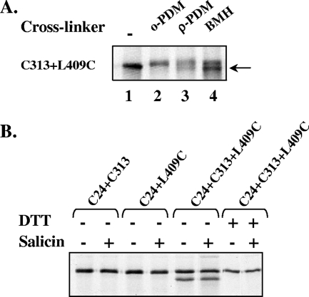 FIG. 4.