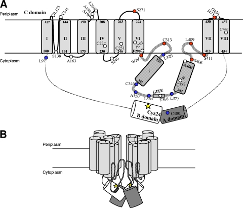 FIG. 6.