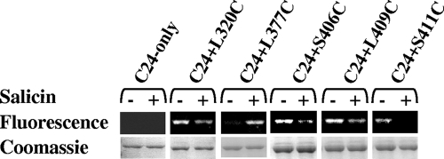 FIG. 5.