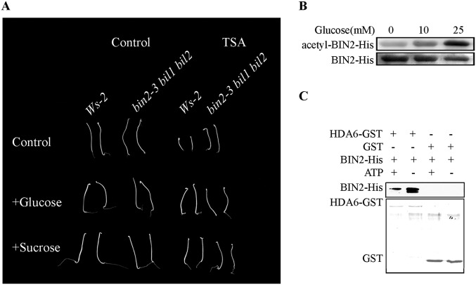 Fig. S3.