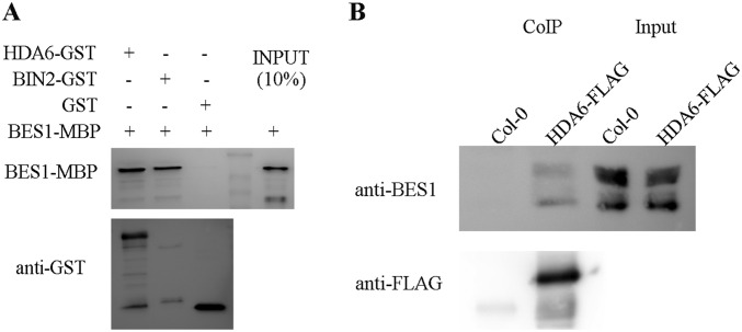 Fig. S5.