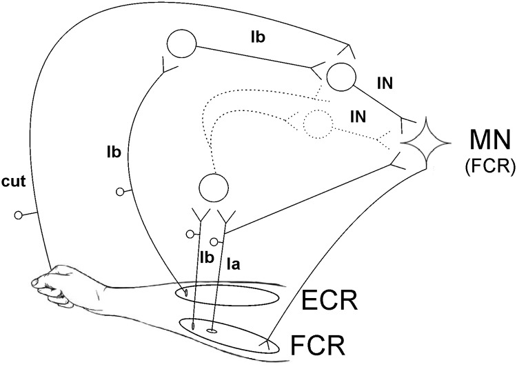 Figure 6.