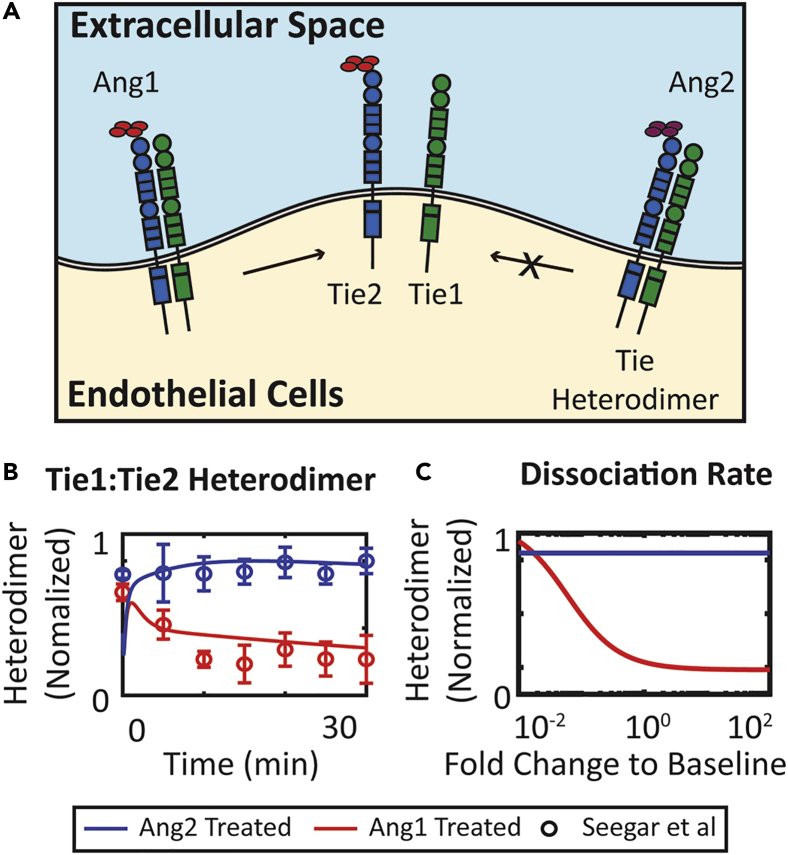 Figure 7