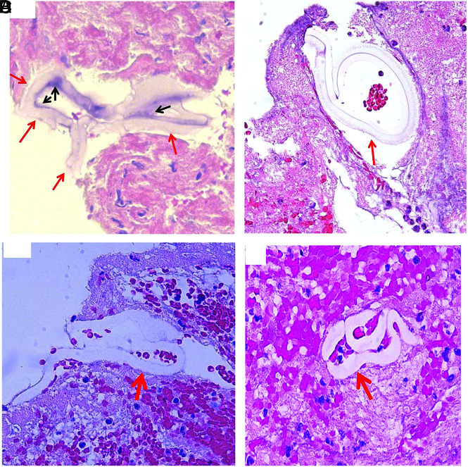 FIG 8.