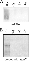 FIG. 4.