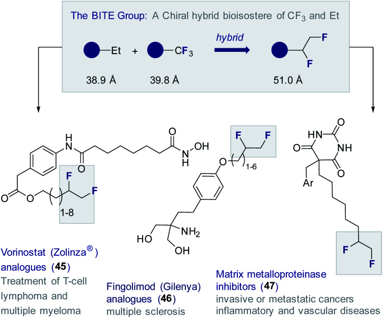 Fig. 11