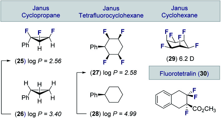 Fig. 6